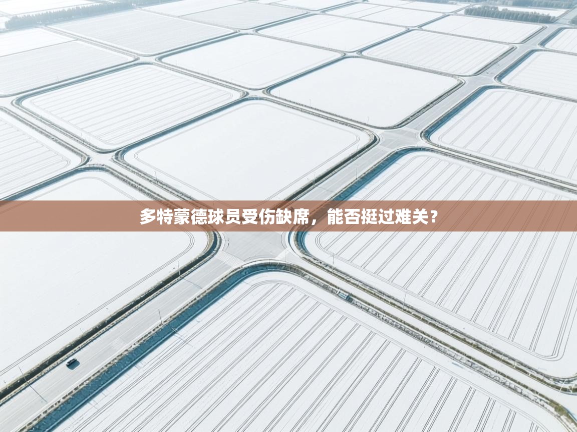 多特蒙德球员受伤缺席，能否挺过难关？