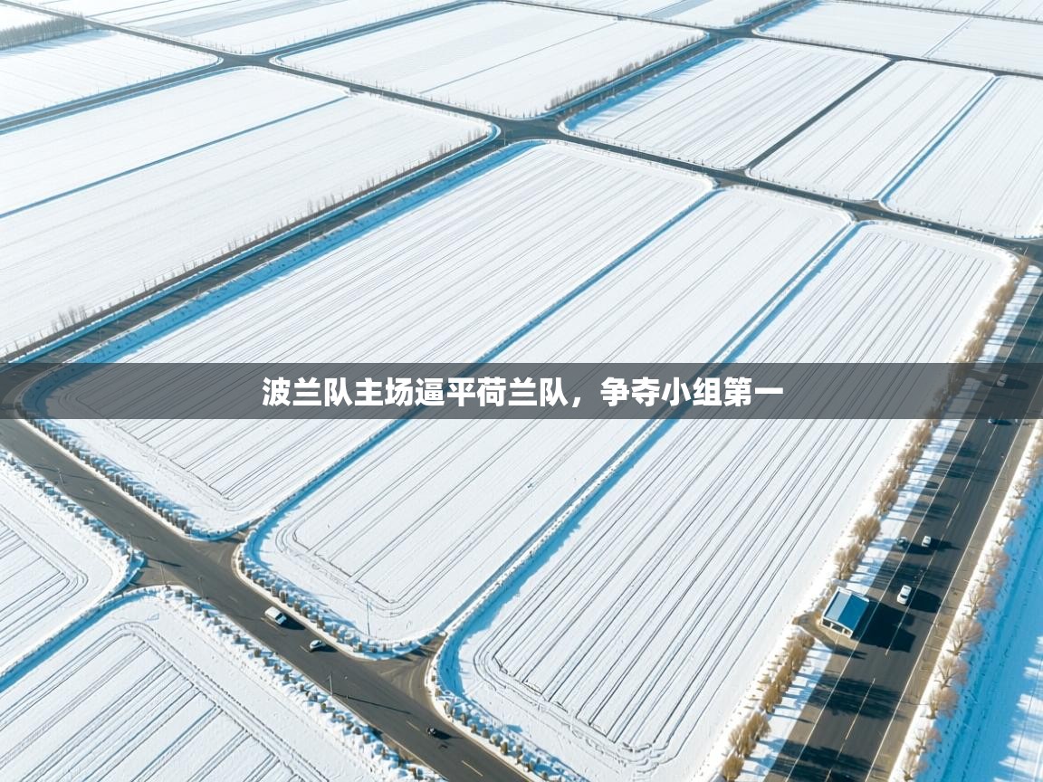 波兰队主场逼平荷兰队，争夺小组第一  第2张