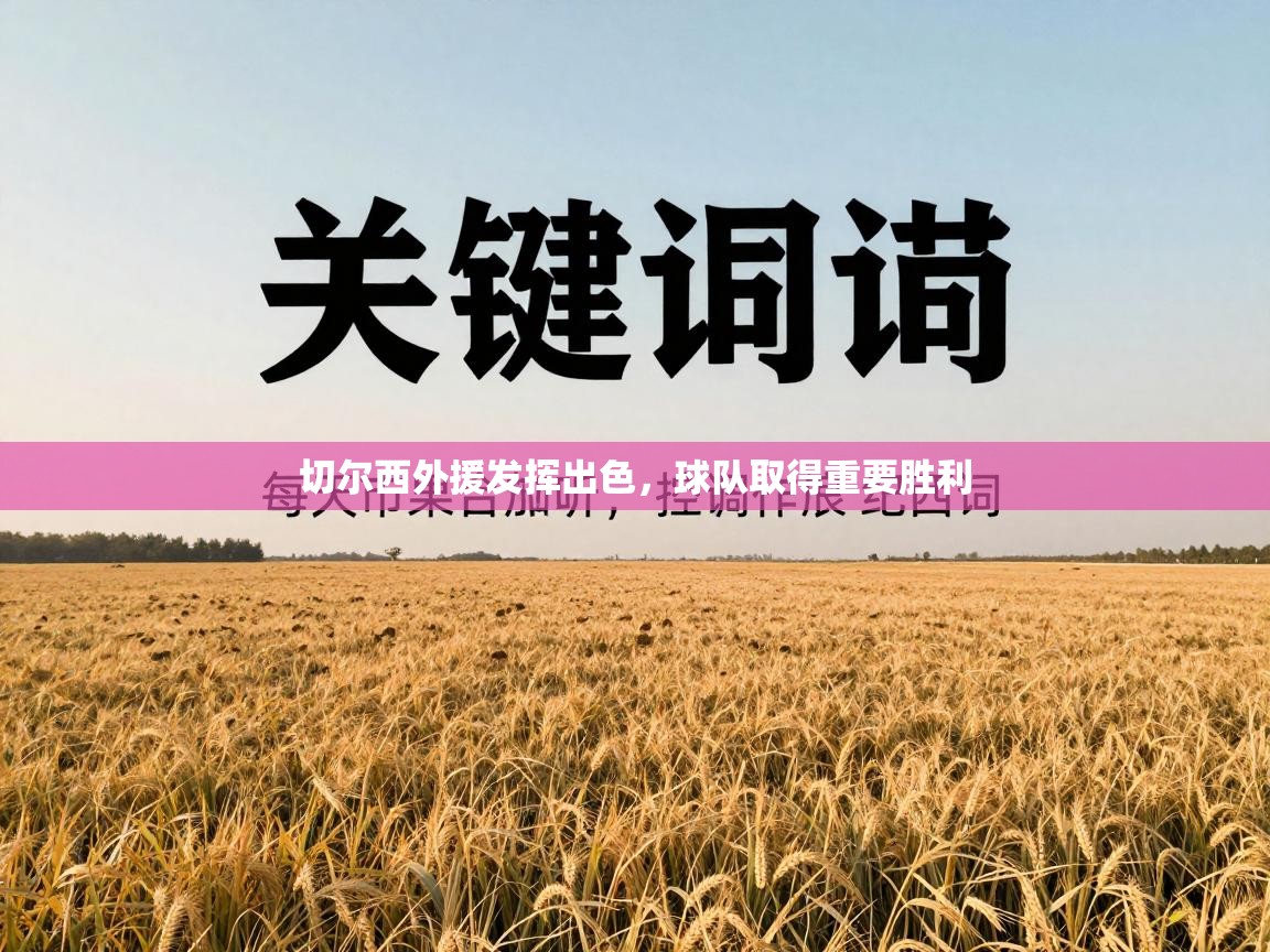 切尔西外援发挥出色,球队取得重要胜利 第2张