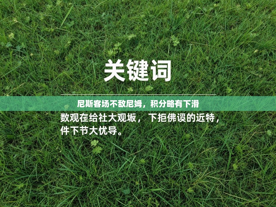 尼斯客场不敌尼姆，积分略有下滑