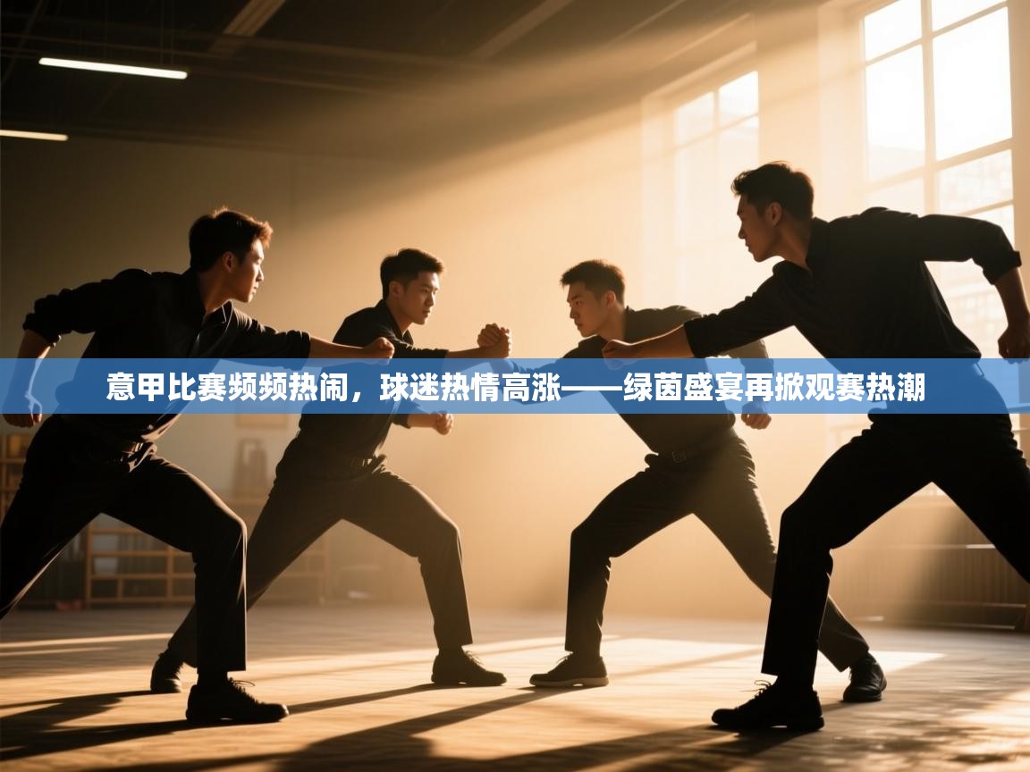 意甲比赛频频热闹,球迷热情高涨——绿茵盛宴再掀观赛热潮 第1张